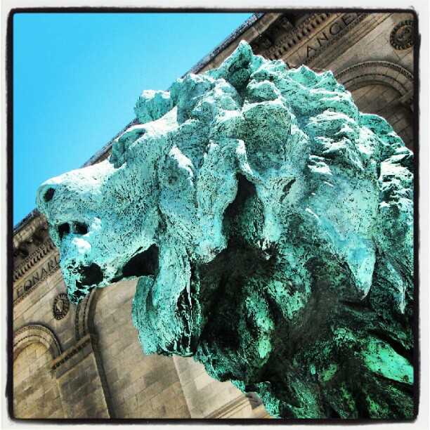 On the prowl. Art Institute lion.