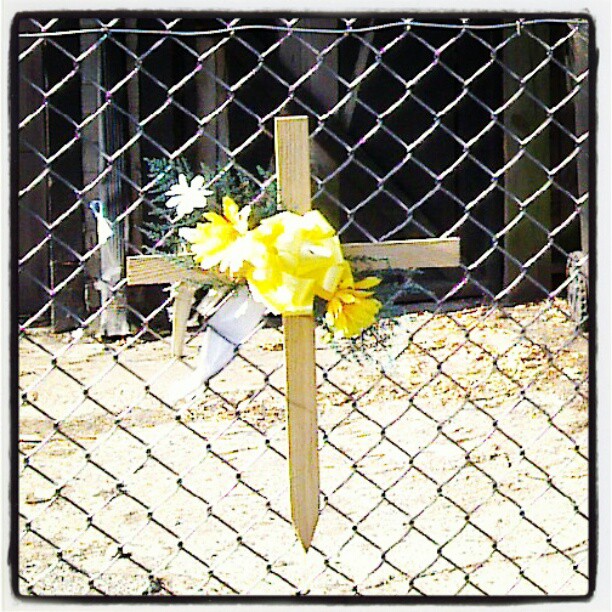 Francisco Station Remembrance