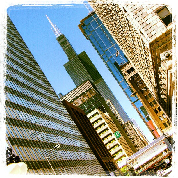 Sears (Willis) Tower (from a remove)