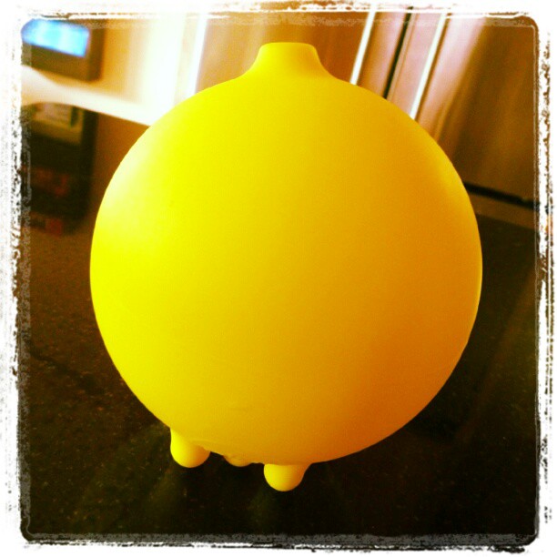 Yes, we have a Plui. Udderly cute.