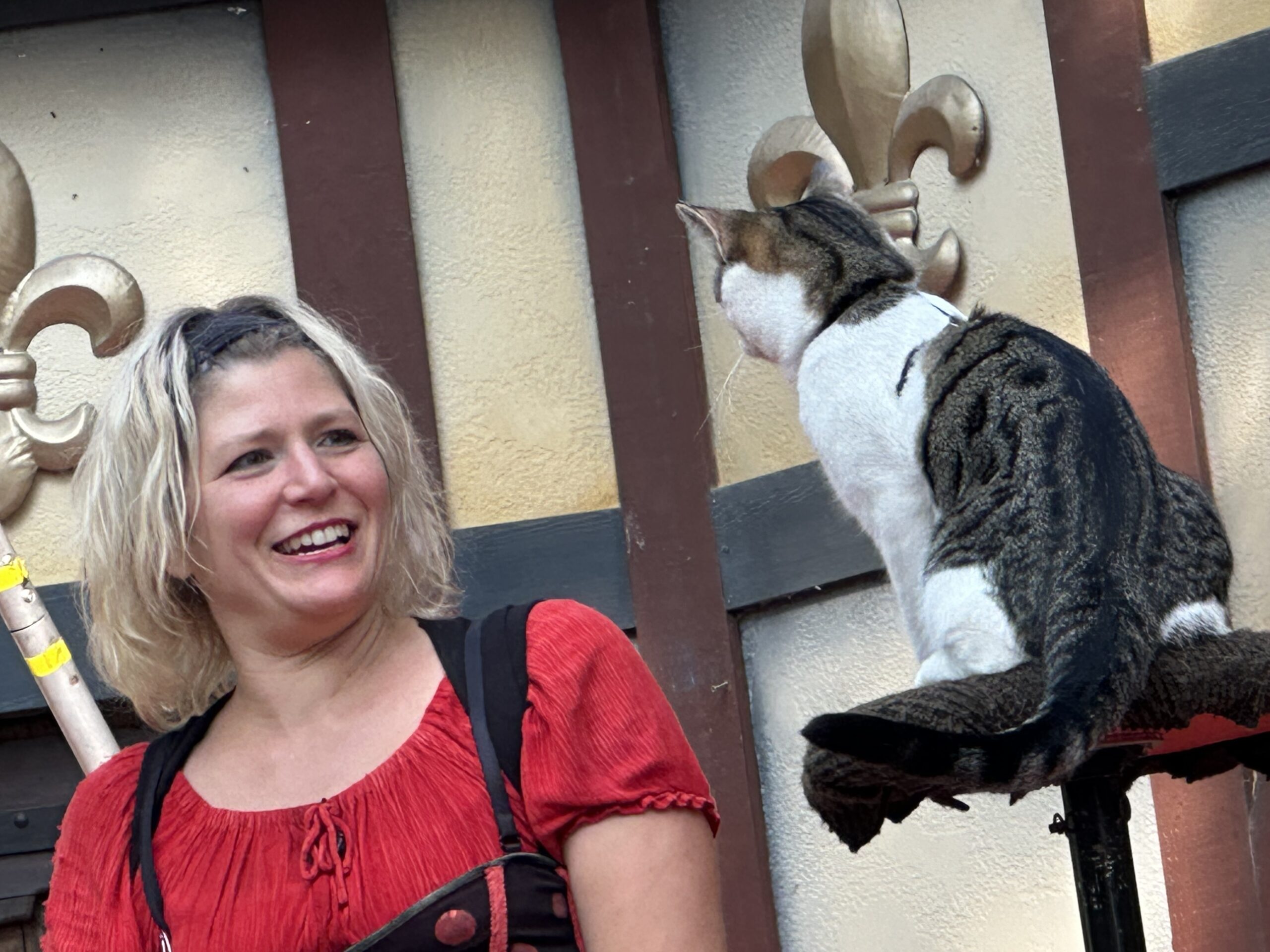 Bristol Renaissance Faire