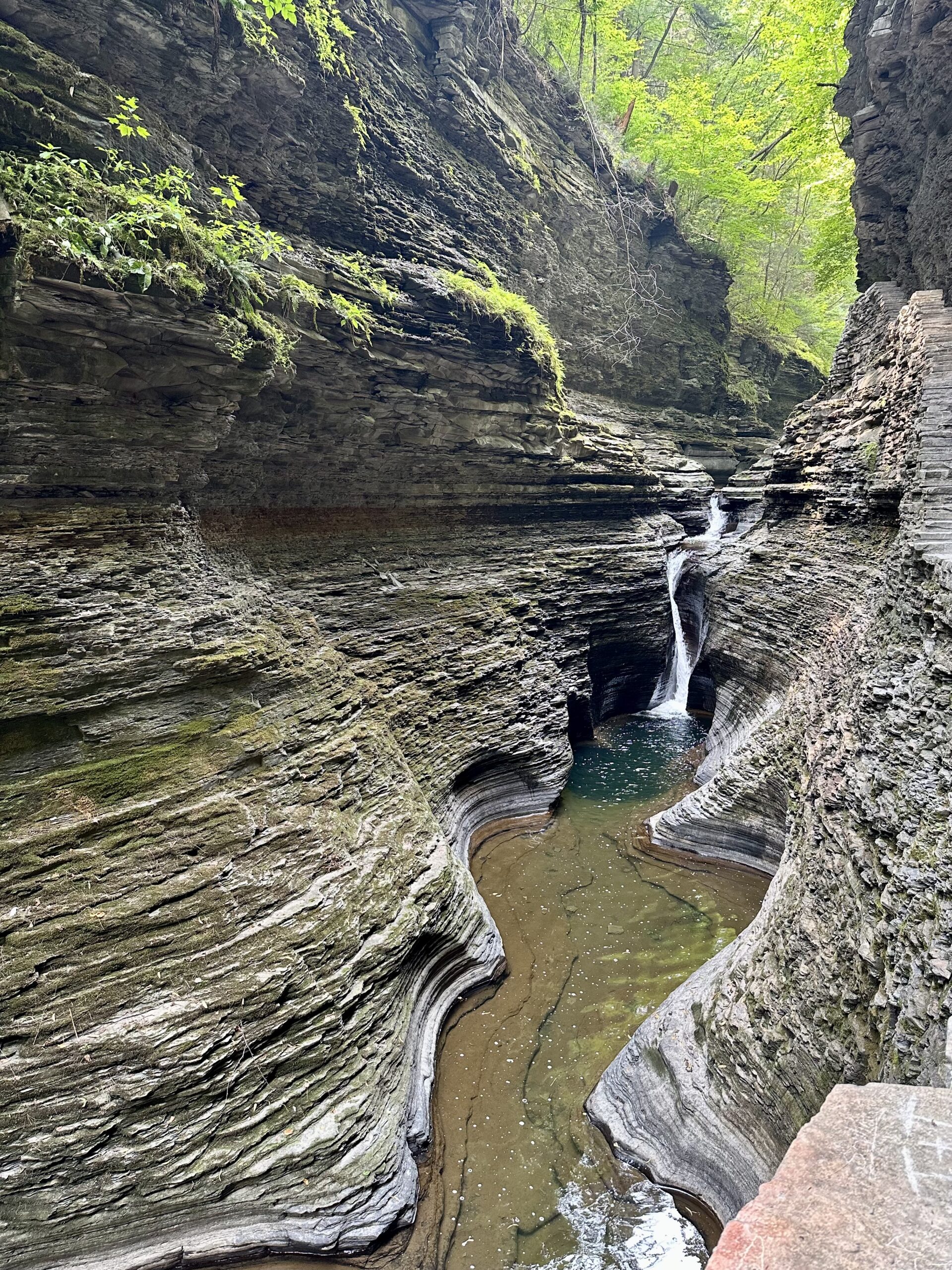 Watkins Glen - Jacob’s Ladder Trail