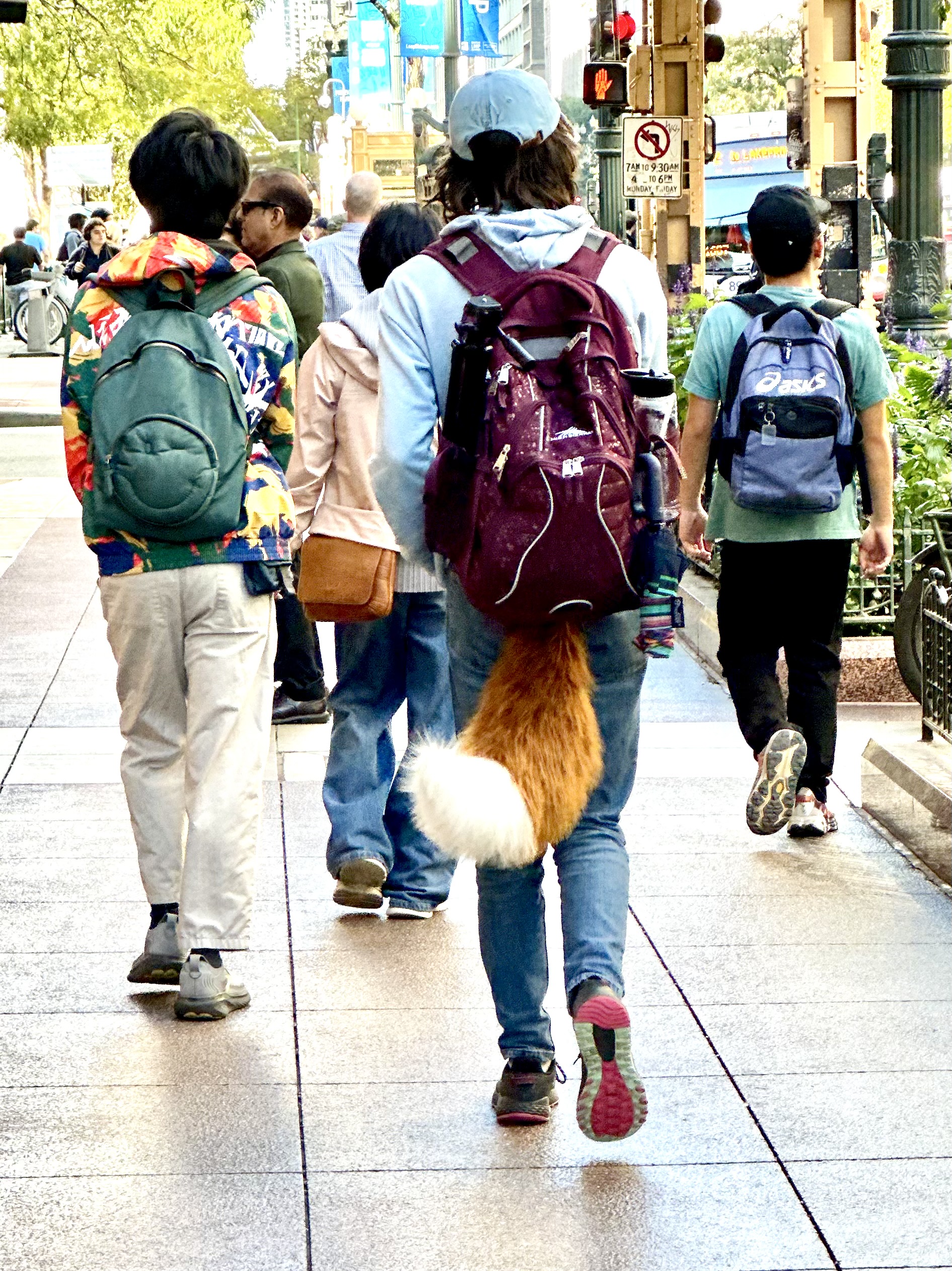 Urban Furry