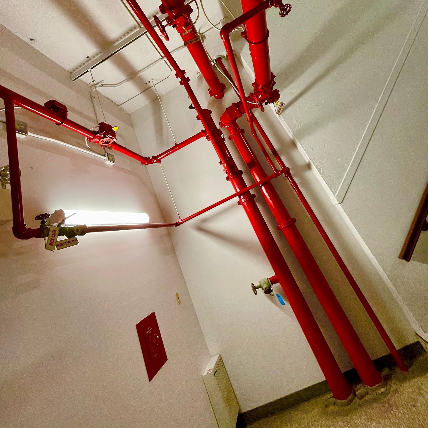 Lots Of Red Pipes Dunsurfin